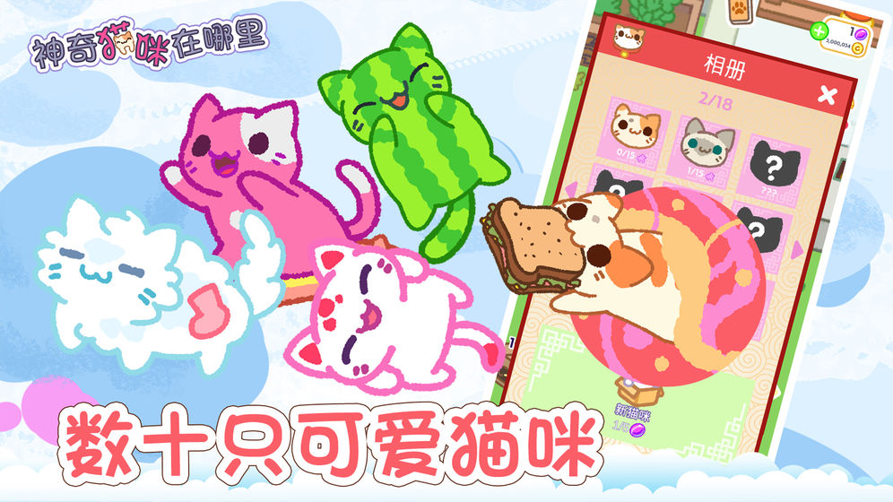 ����è��������