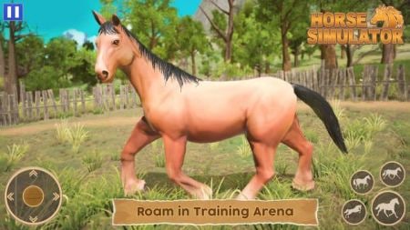 ��������ģ����Horse Simulator