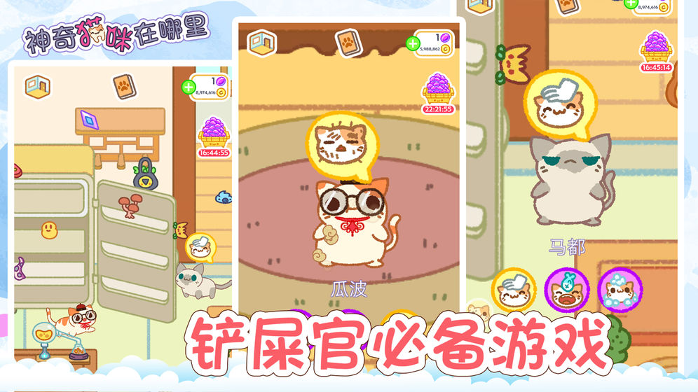 ����è��������