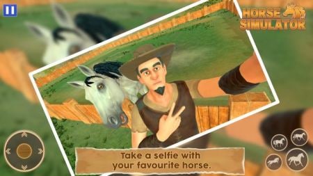 ��������ģ����Horse Simulator