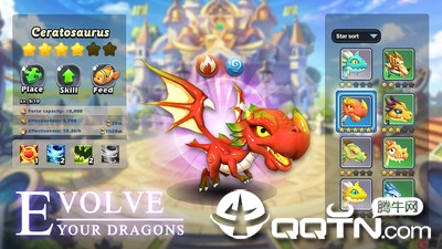 ���������ں������