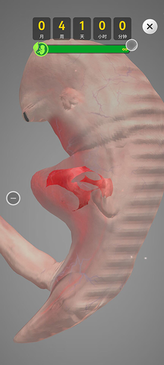 �Ÿ�����Ϸ(9 Months)