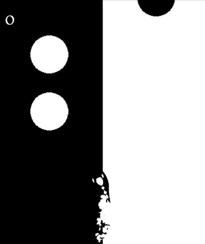 Yin Yang Fish(��������Ϸ)