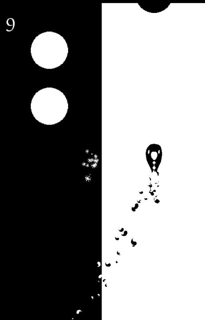 Yin Yang Fish(��������Ϸ)