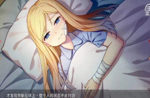 �εĽ����ռǰ�׿�溺����