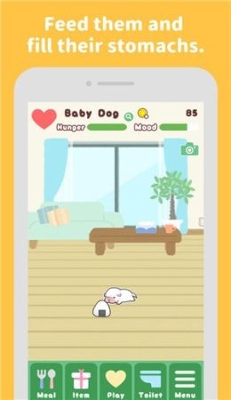 �����еĳ���