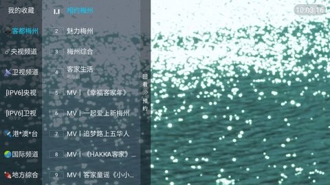 龙伊直播