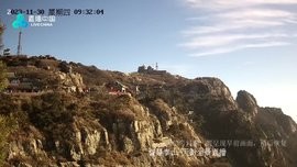 卫视直播