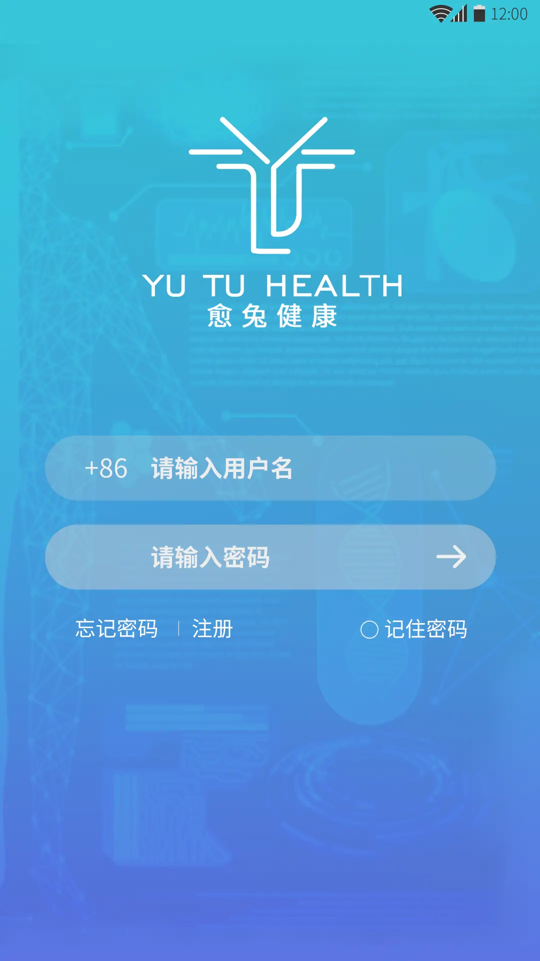 ���ý���