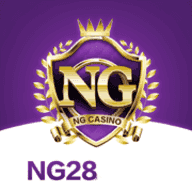 �Ϲ�28NG