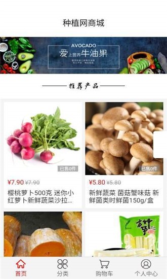 ��ֲ���̳�