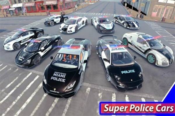 ��Ȯ�����˾��Police Dog Transport Van
