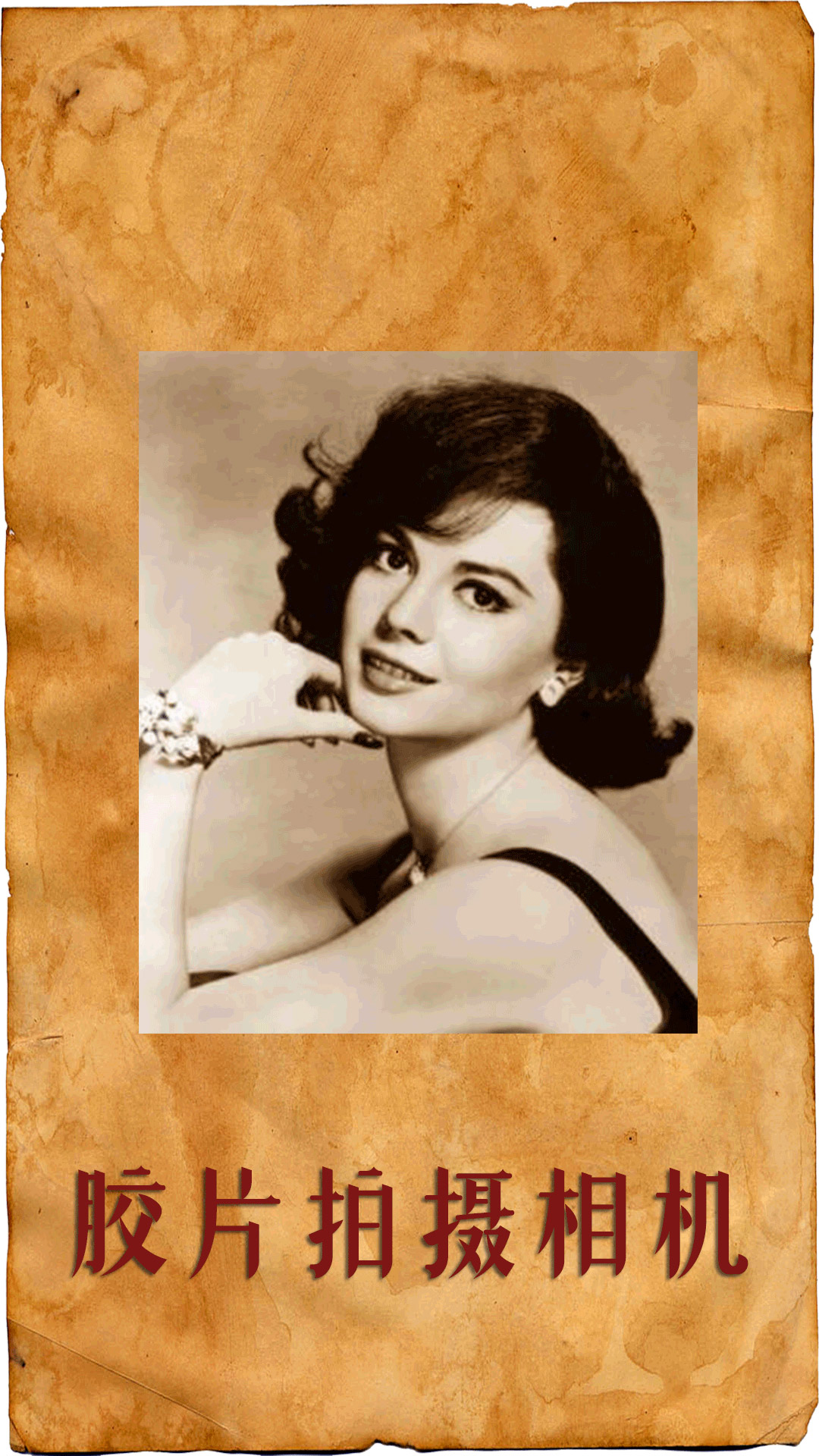 ��Ƭ�������