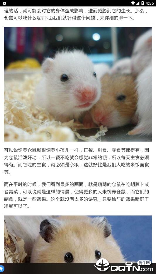 达人直播