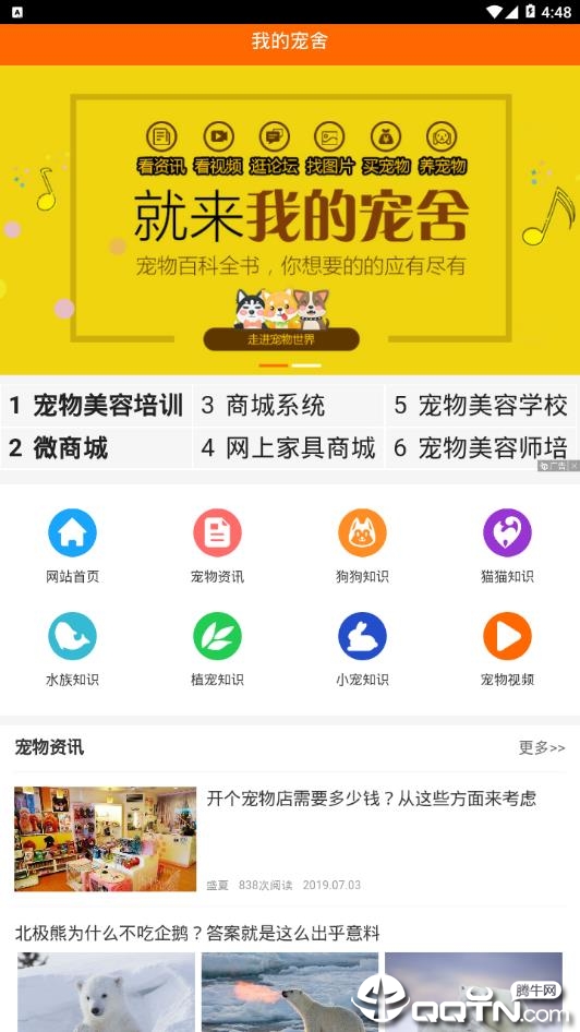 达人直播