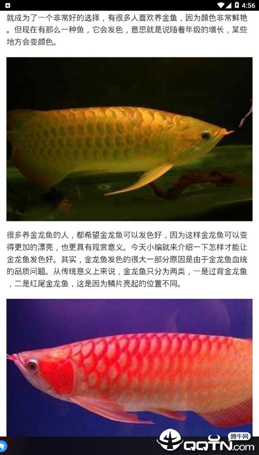 达人直播