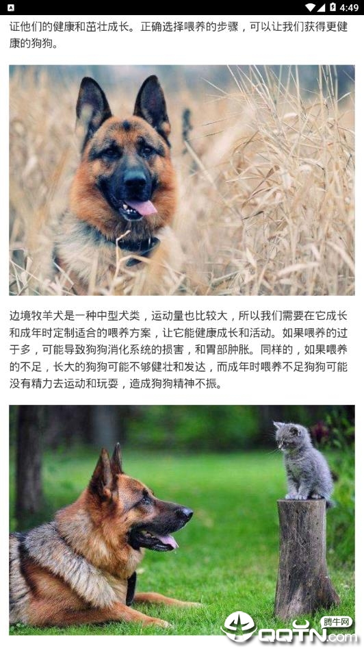 达人直播