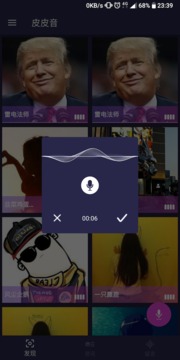 皮皮音