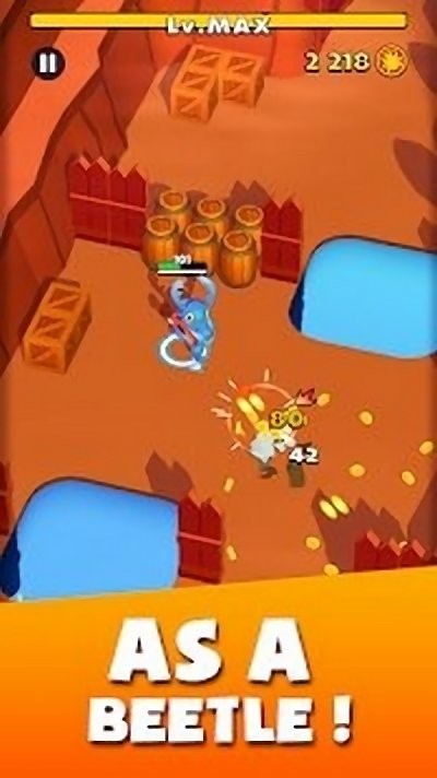 Beetle Arena(�׿ǳ������������)