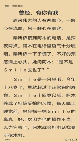 ��¥С˵