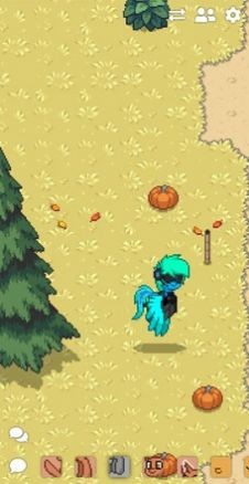 ponytownС����׿��