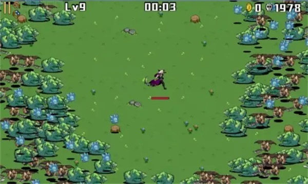 ��̽���³�