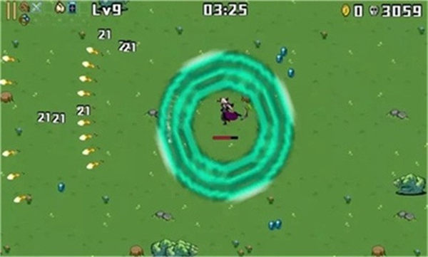 ��̽���³�