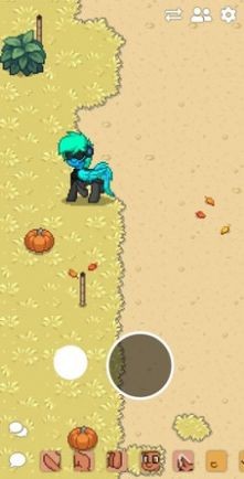 ponytownС����׿��