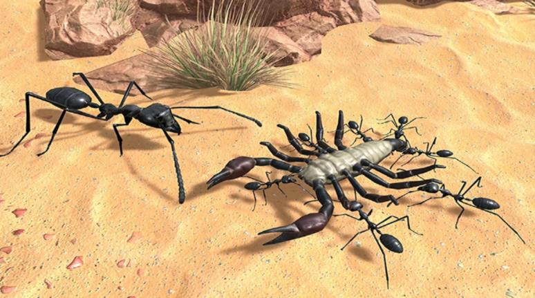 ����Ǽ�С����