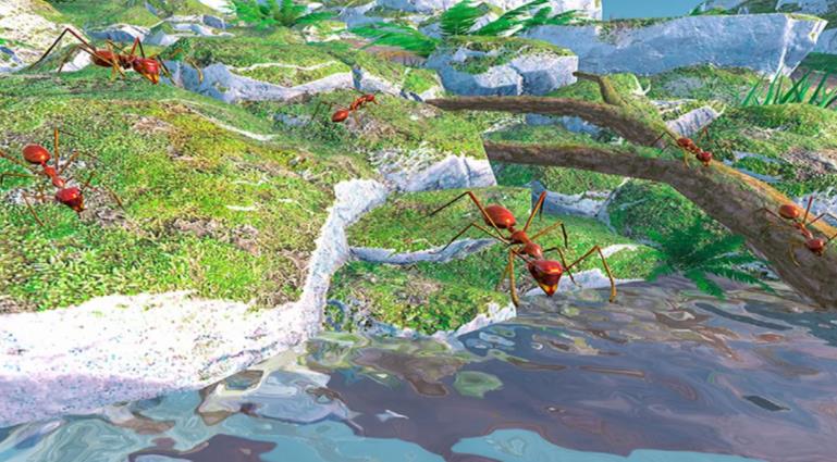 ����Ǽ�С����