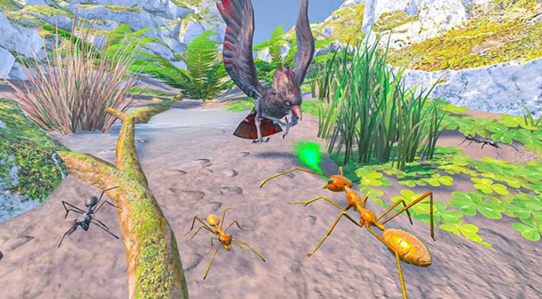 ����Ǽ�С����