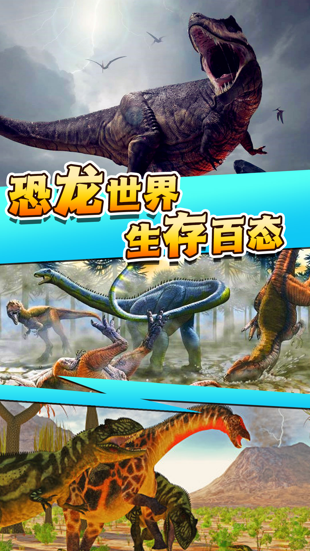 ȫ���������