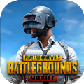PUBG������ֱװ��(PUBG MOBILE)