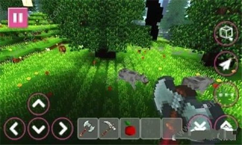 ����Ů������Pink Craft