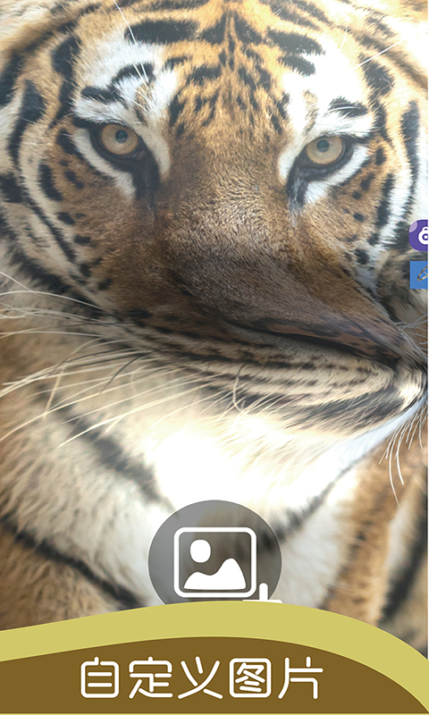 ʷ��ķ���Ķ�����