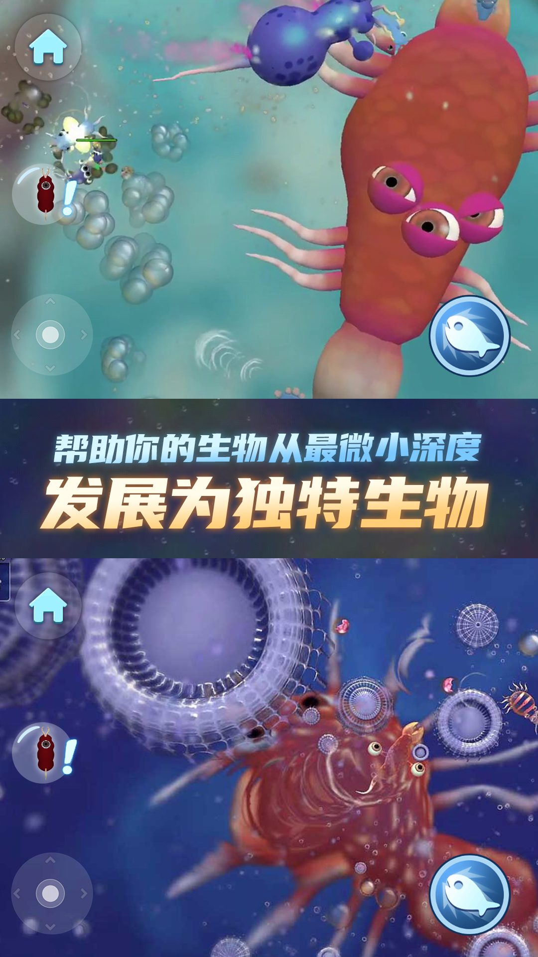 ���ֽ�����