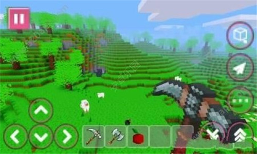 ����Ů������Pink Craft