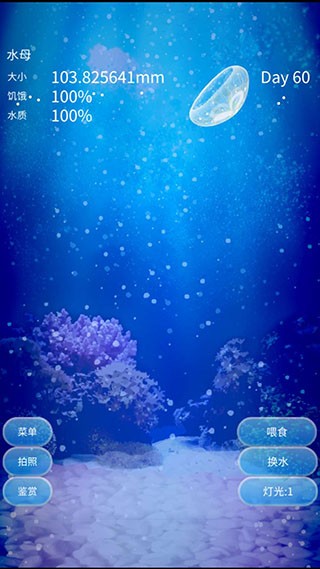 ����ˮĸ��������Ϸ