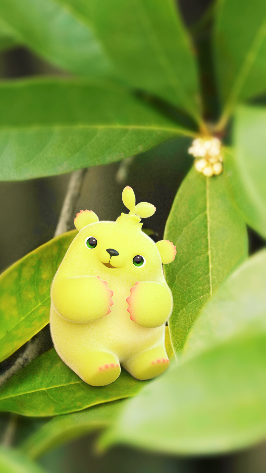 ������ѿ��2