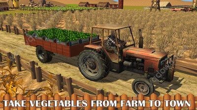 3D��������ʻ