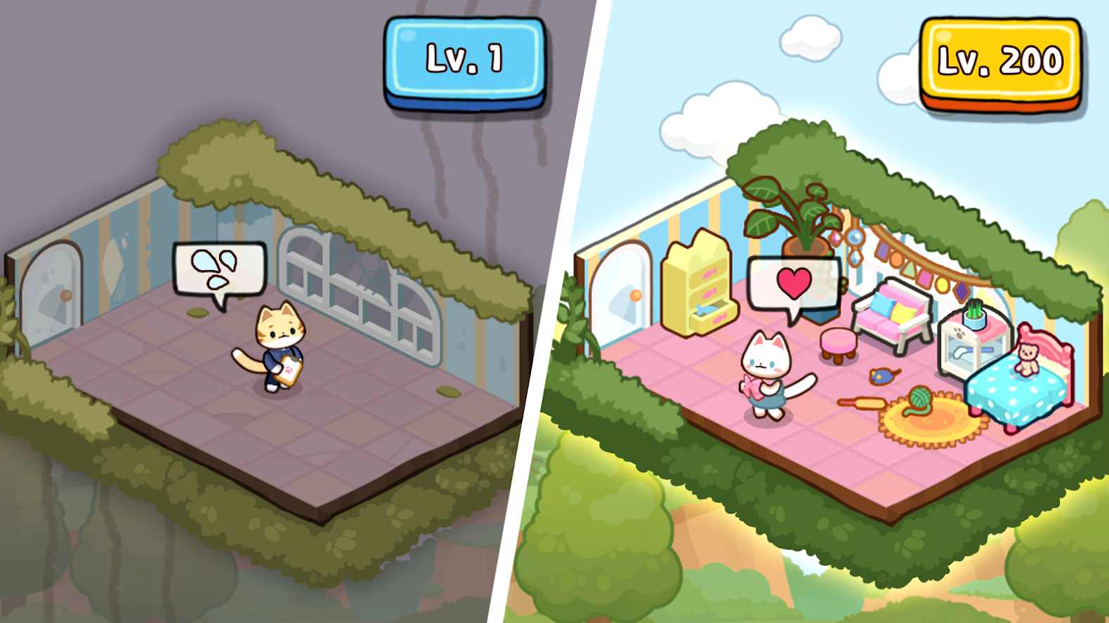 ����è���