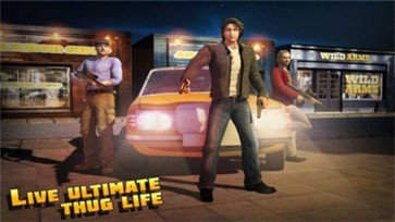 ���˽�������