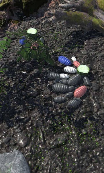 RolyPoly(Բ������������)