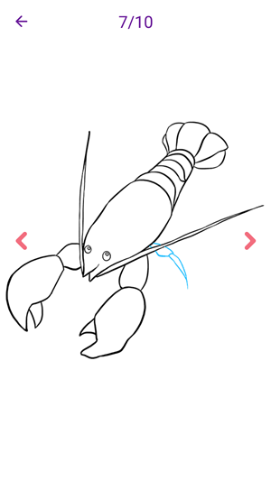 ÿ�ʶ�����(��ʻ�ѧϰ)