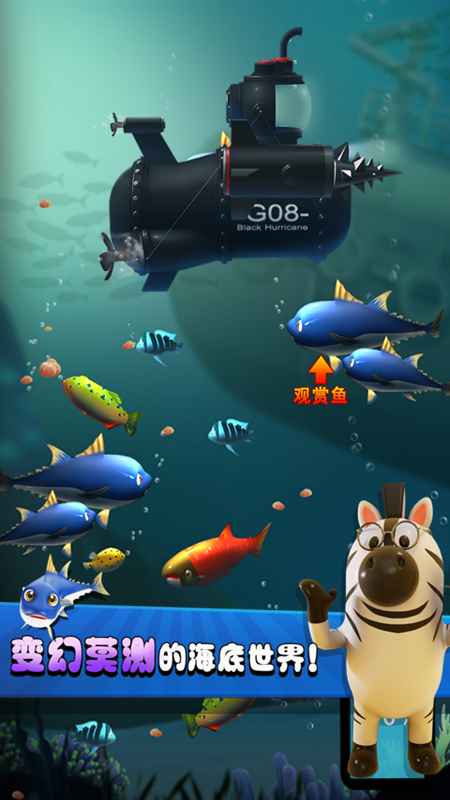 ��Ҫ������