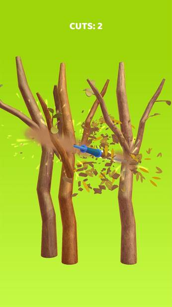 �������ô