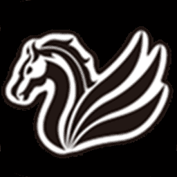 ������Ȩ