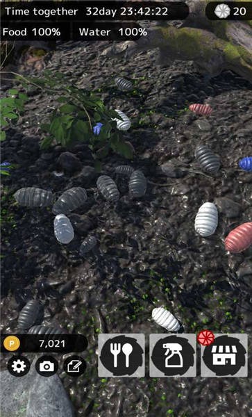 RolyPoly(Բ������������)