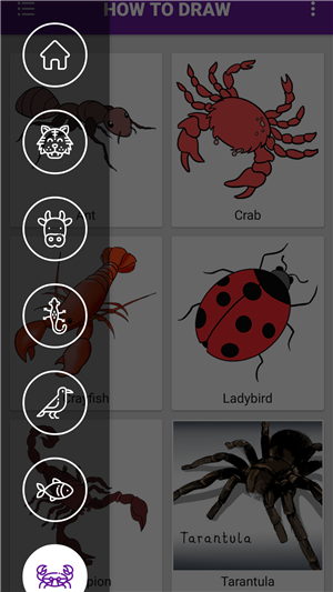 ÿ�ʶ�����(��ʻ�ѧϰ)