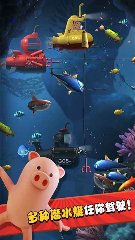 ��Ҫ������